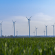 SEBI has outlined a list of eligible sectors where proceeds from green bond issuance can be used.